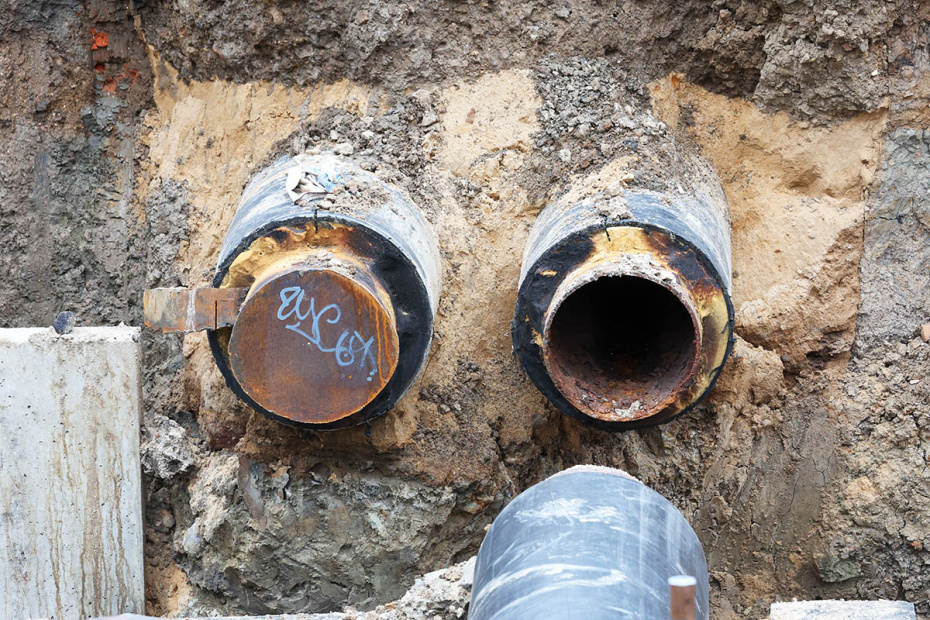    Алексей Белкин/NEWS.ru