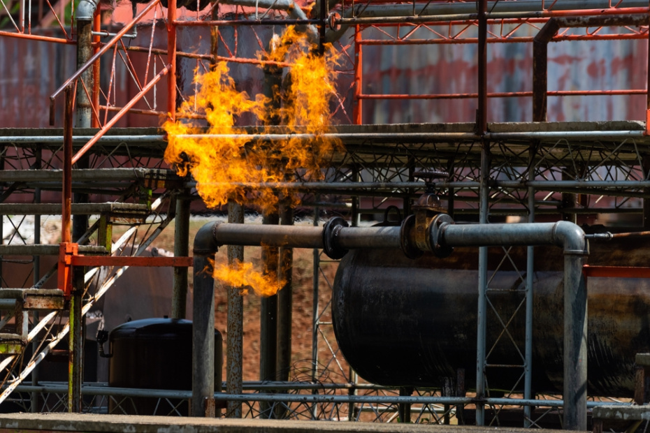    Shutterstock/FOTODOM