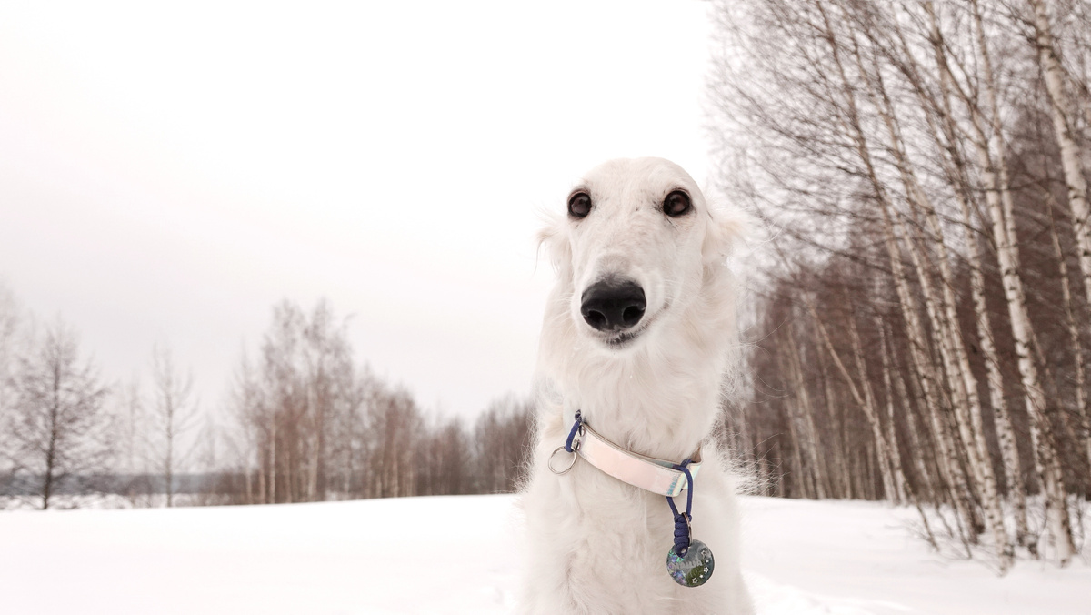 Привет, я Машуко и я приехала из Белгорода 