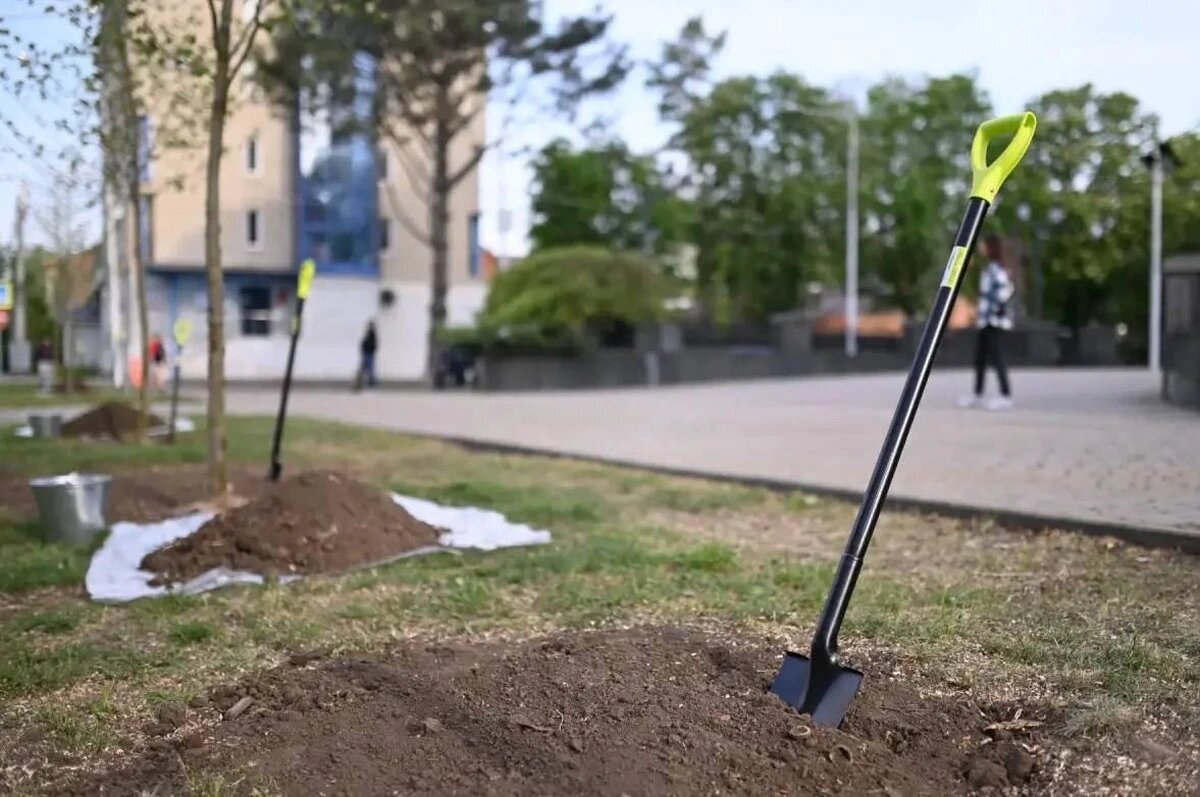    Фото t.me/emnaumov