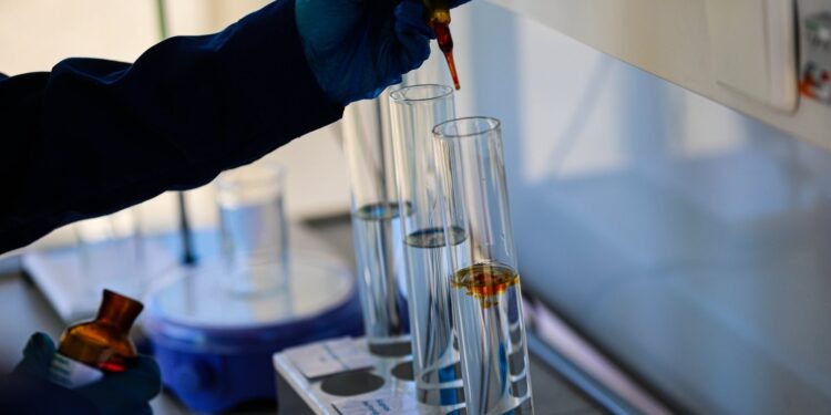    Илья Тушев / Вести Подмосковья