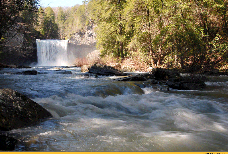 Ведьмёныш. Дела отдельские. Заговор на зеркало и совет о говорящей голове