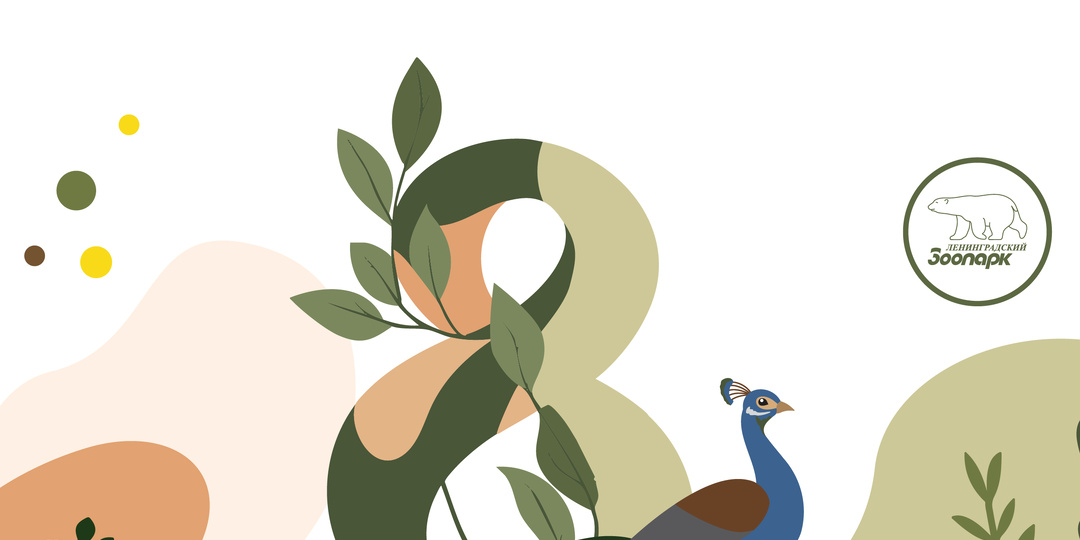 8 марта – Международный женский день в Ленинградском зоопарке💐