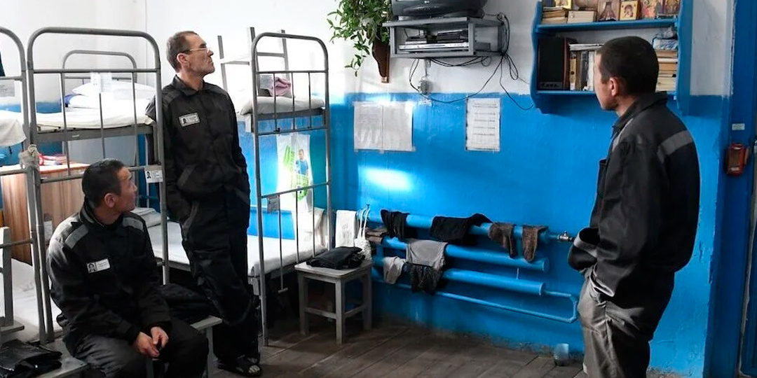 Как в тюрьме живут люди с высшим образованием: как к ним относятся