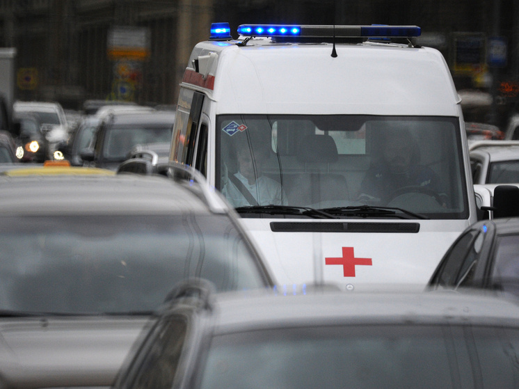     Фото: медиасток.рф