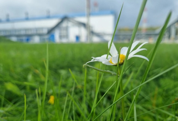 фото: пресс-служба «Транснефть - Балтика»