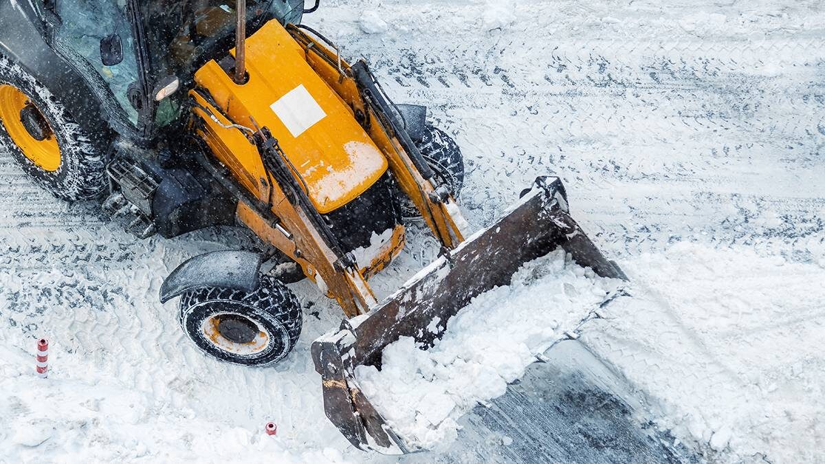    Фото: Shutterstock