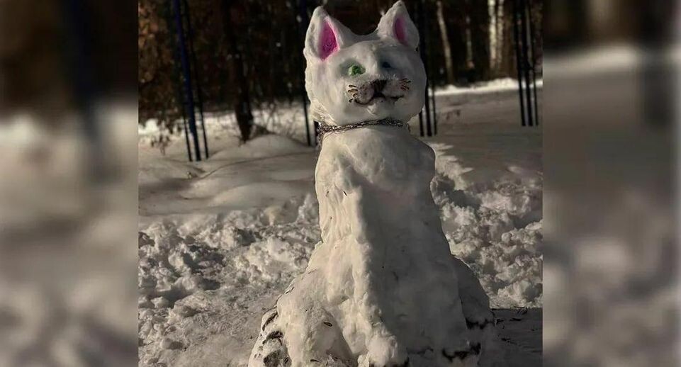 Мартовский котомобиль: сбывшаяся мечта ребенка восхитила двор в Долгопрудном