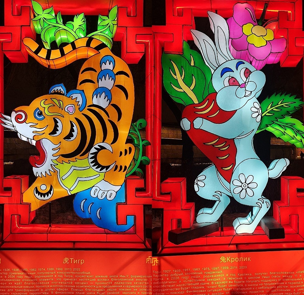 Тигр, Кролик