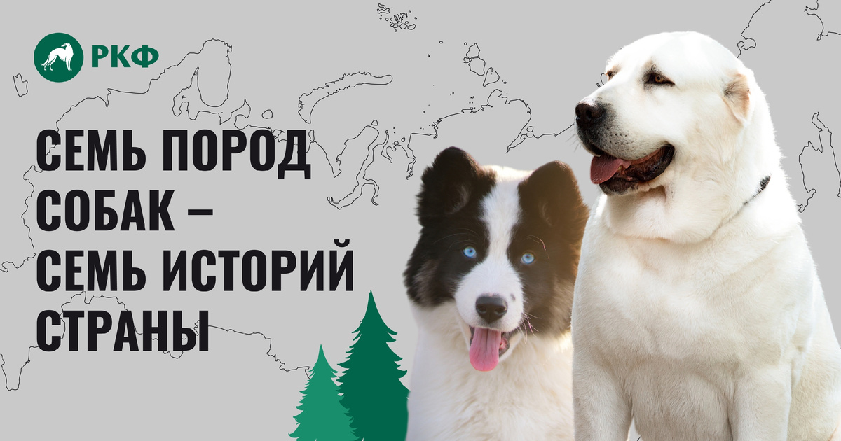 День России: семь пород собак – семь историй страны / РКФ