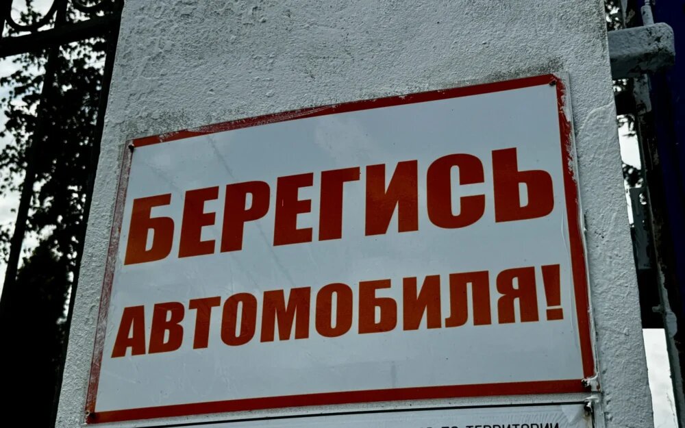    Фото: "Брянские новости"