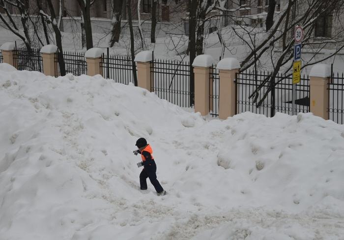 Обложка © Life.ru