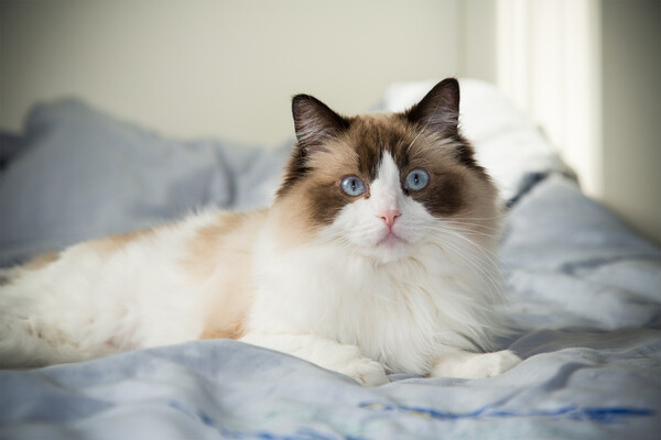 Peredniankina/Shutterstock/FOTODOM   📷