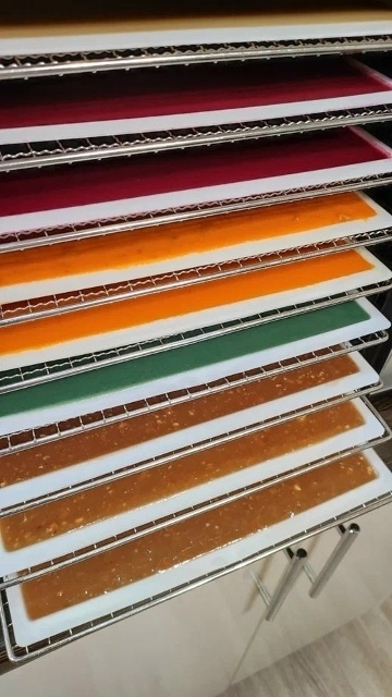 Пастила в дегидраторе