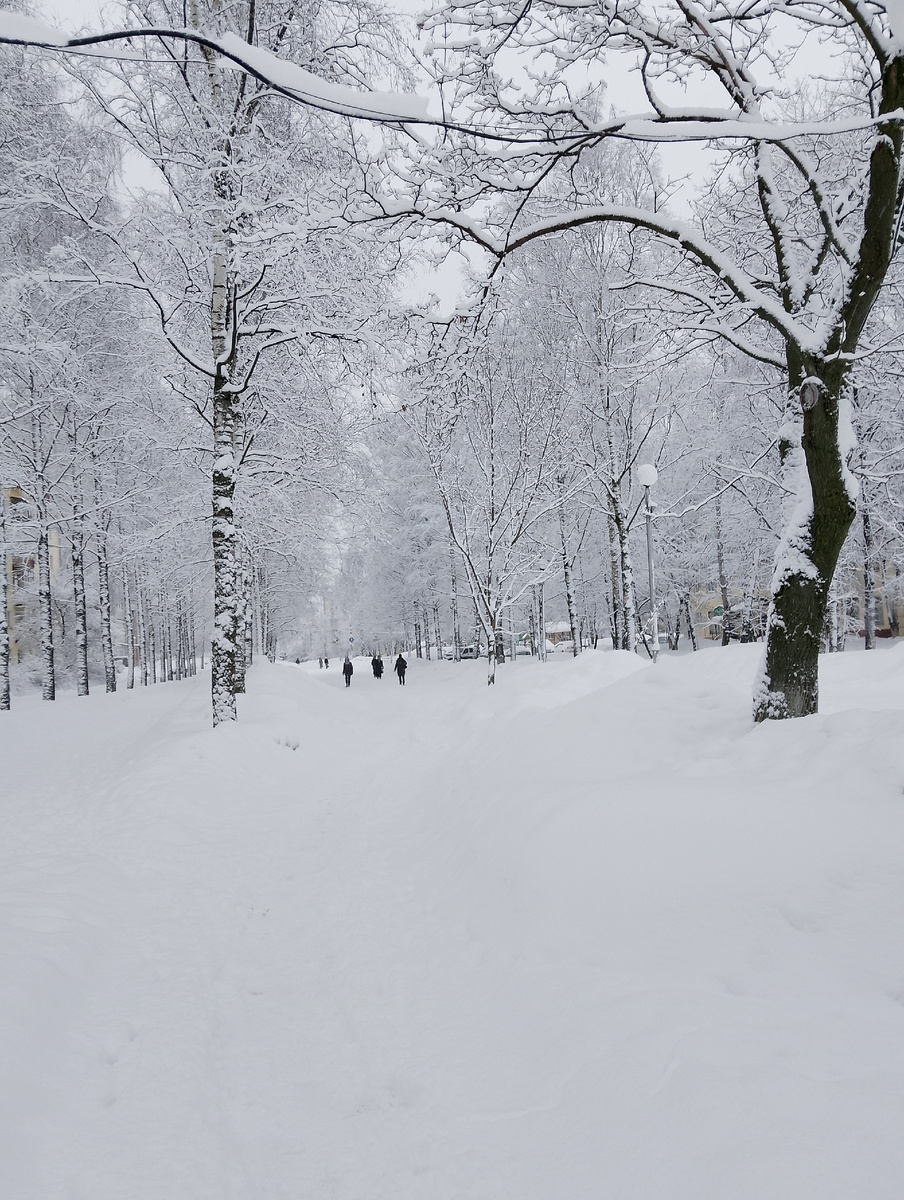 Фото автора 