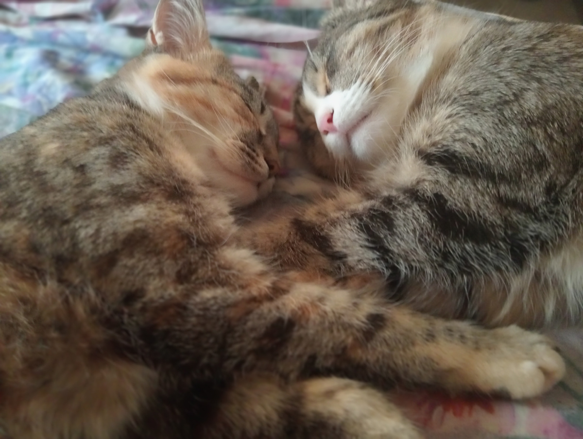 Невася с Лизой уже спят!