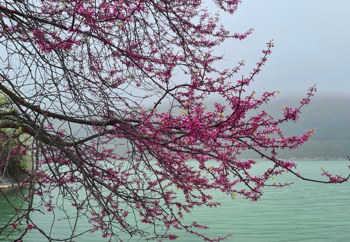 Фото: Анастасия Шефер