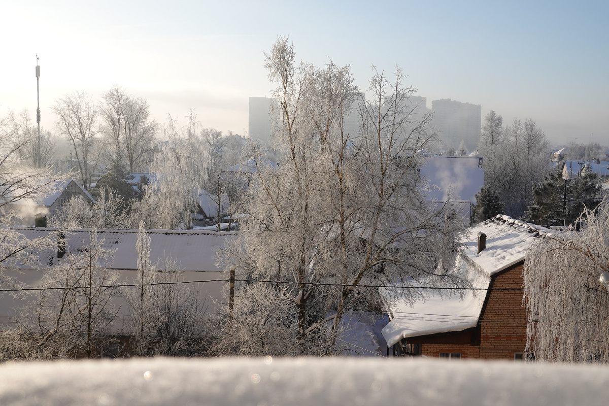 17 января 2026 года