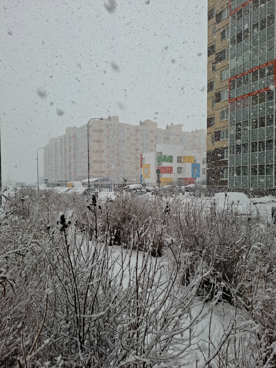 На улице мартовский снегопад 🩵 