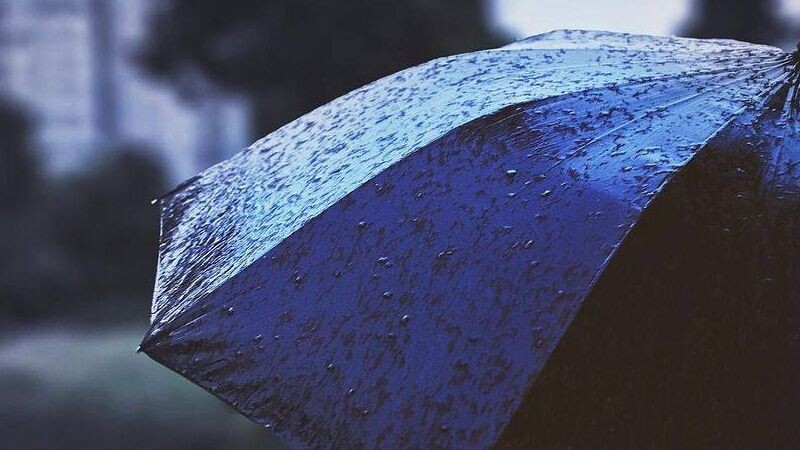     Зонтик   
cowleysam33, pixabay, cc0