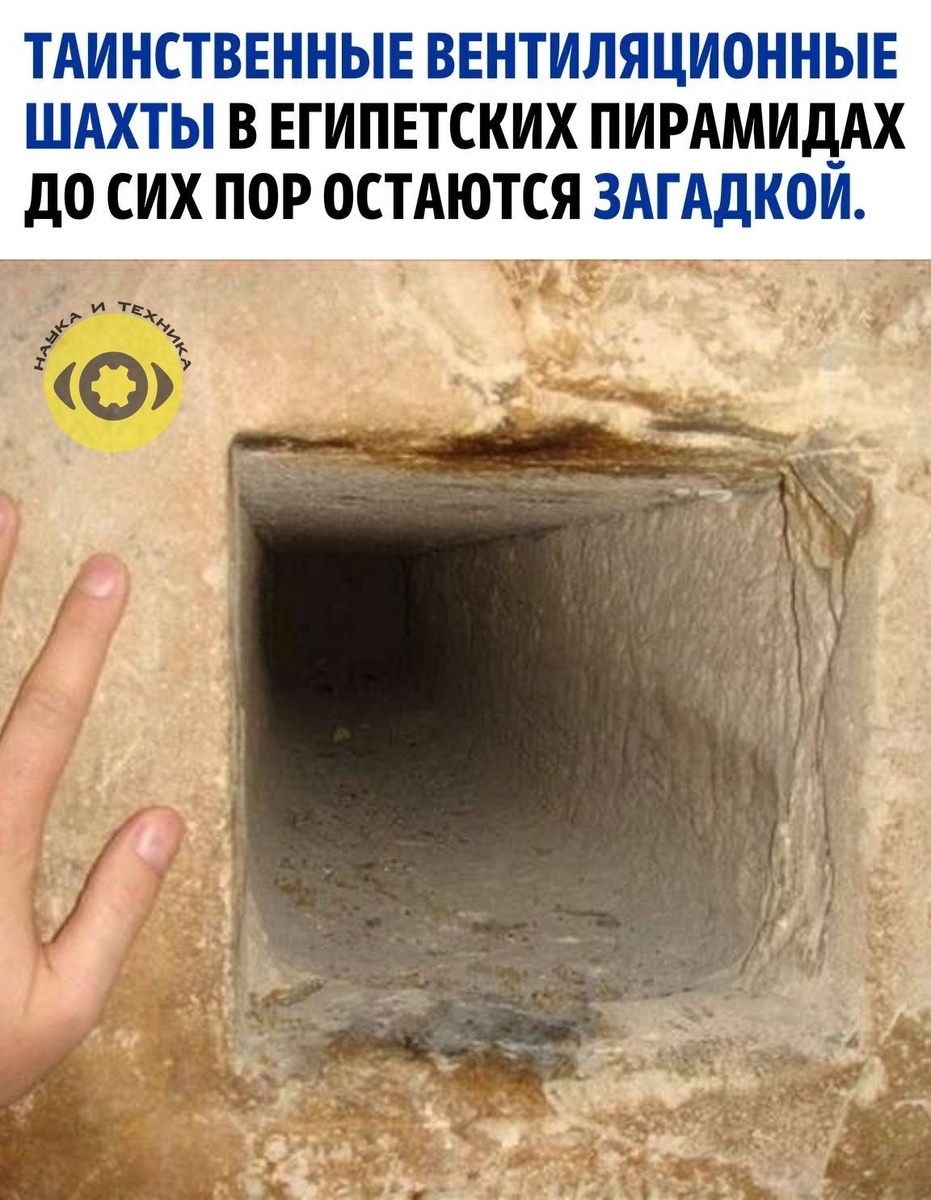 Изображение взято с сайта https://vk.ru/wall-103027469_1354636