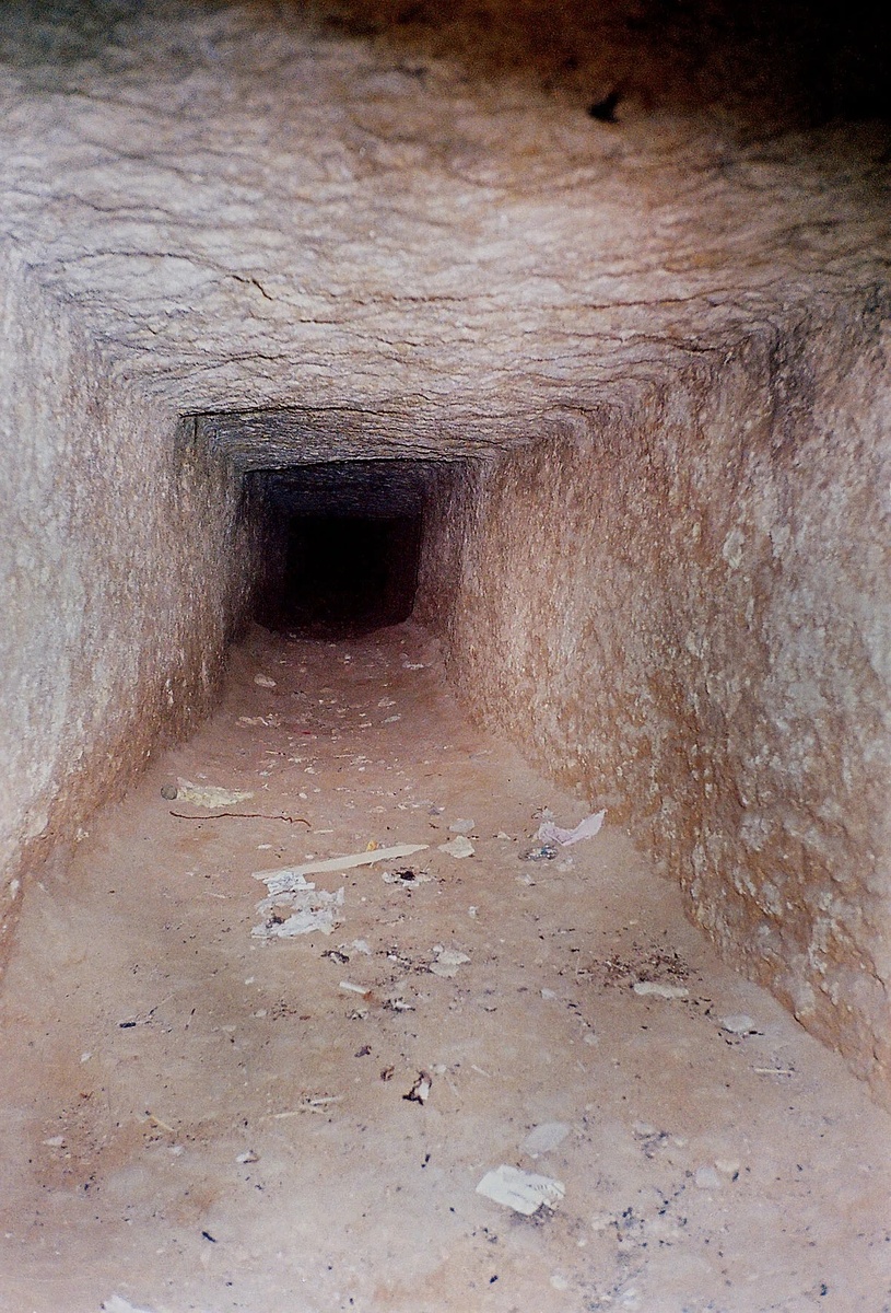 Изображение взято с сайта https://vk.ru/wall-103027469_1354636