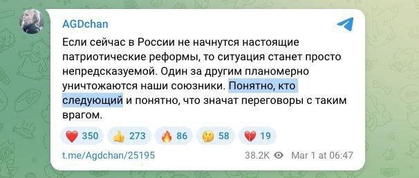 Кажется, что у нашей бородищи начали появляться зачатки умища.