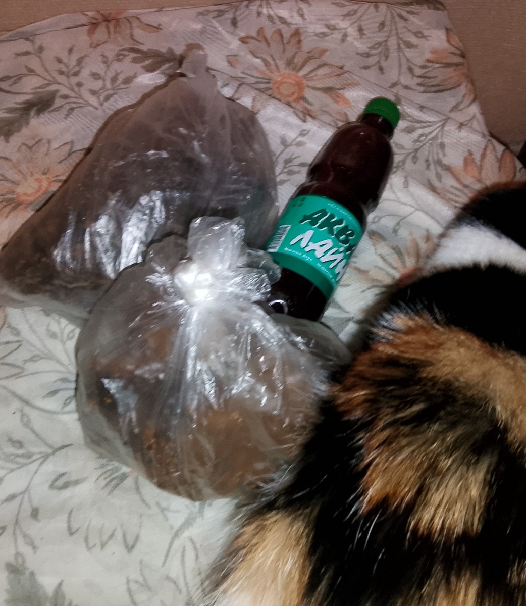 Клоповка, чага, папоротник и Умняша (она не с Сахалина, а наша)