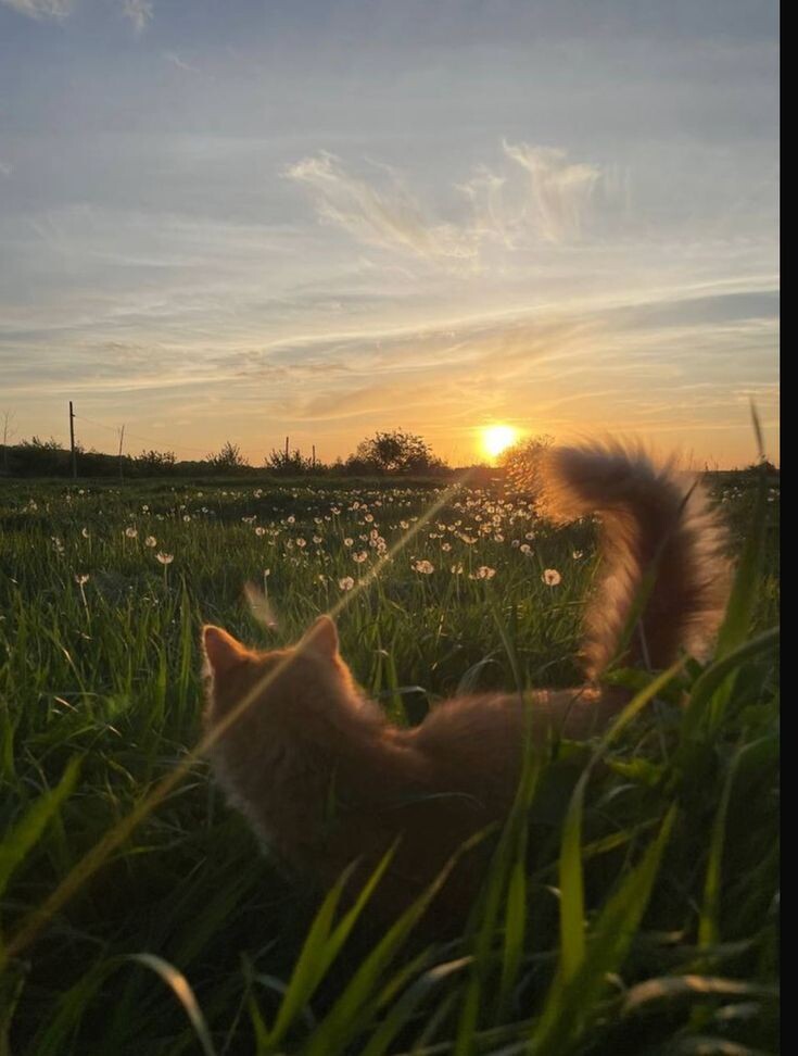 #любовь #романтика #студенты #лето #деревня