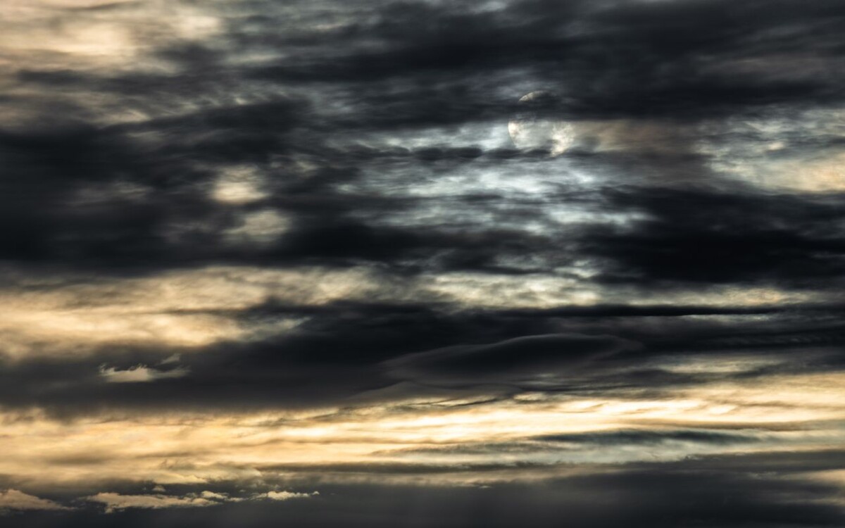    Фото: Сергей Усков