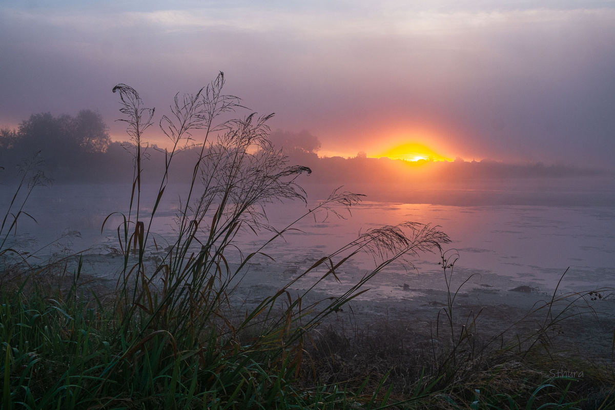 фото взято из открытого источника