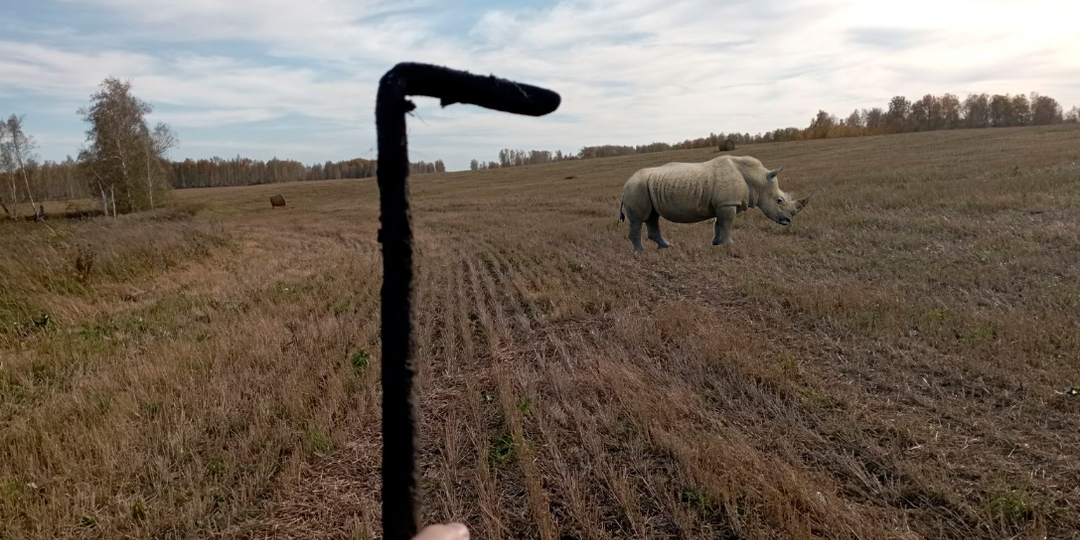 Про работу и жизнь, которую мы выбираем