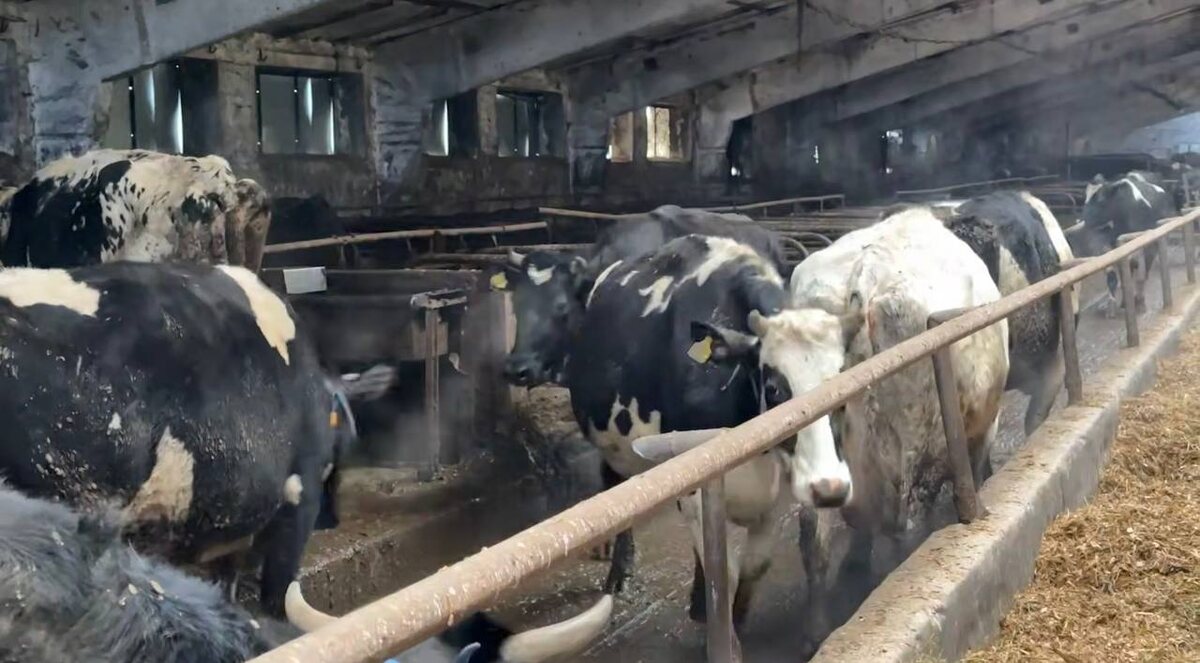 Фото: Минсельхоз ДНР