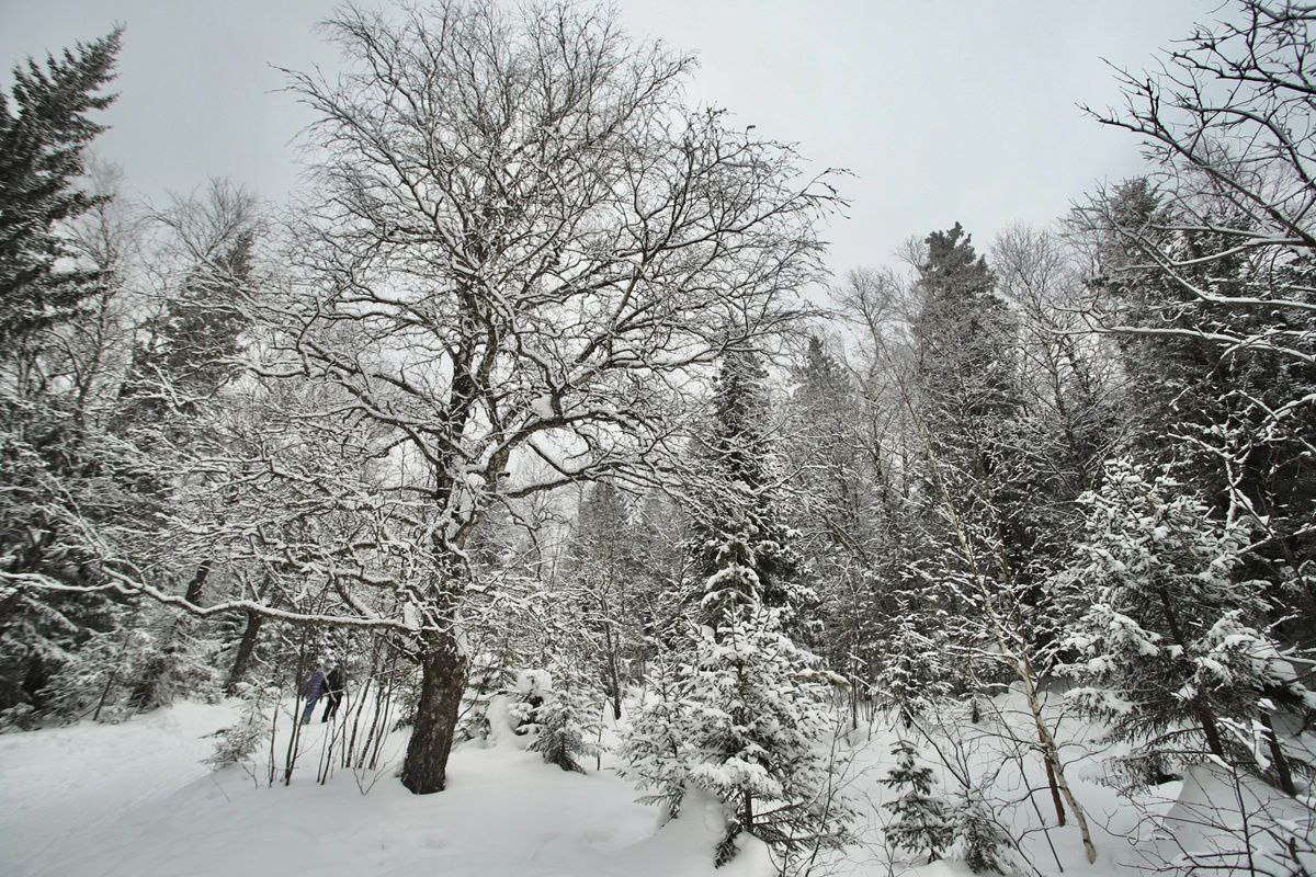    Фото: Юрия Елисеева предоставлено ИА «Уральский меридиан» клубом активного отдыха «Душа Урала»