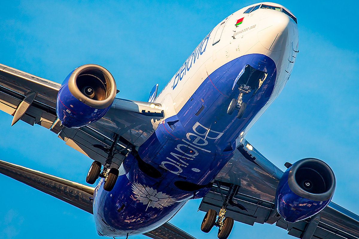    Фото:Adomas Daunoravicius / Shutterstock.com