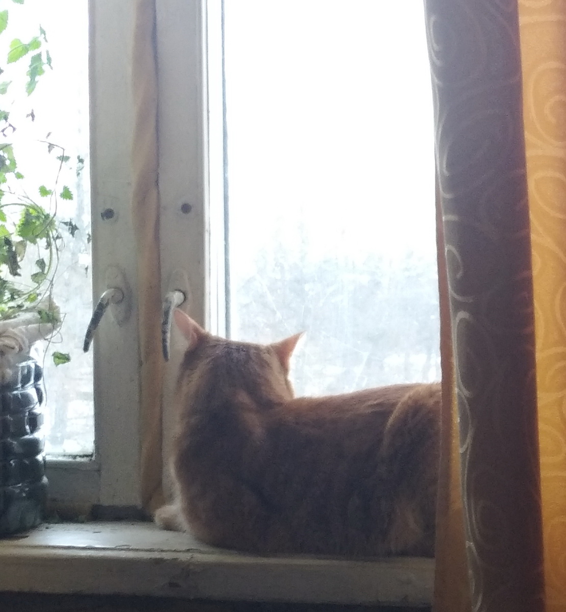 личное фото