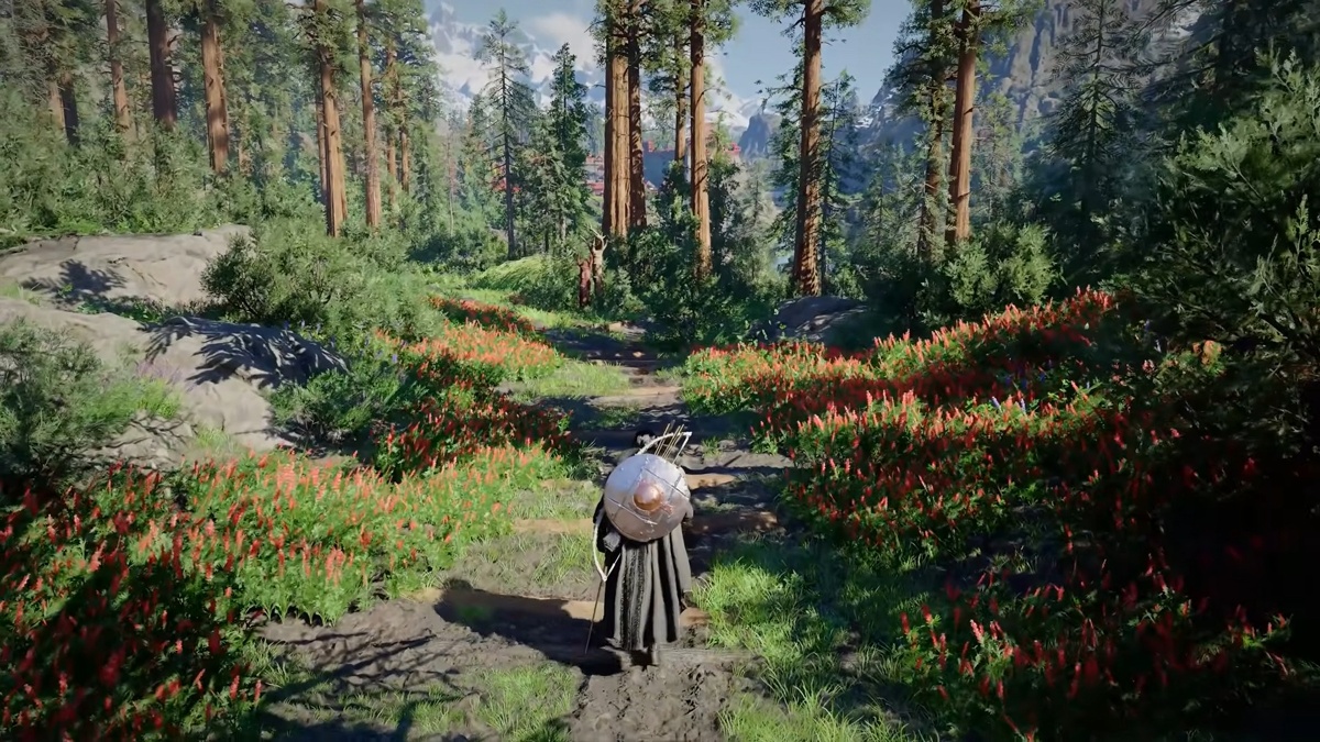 Скриншот видео  📷
