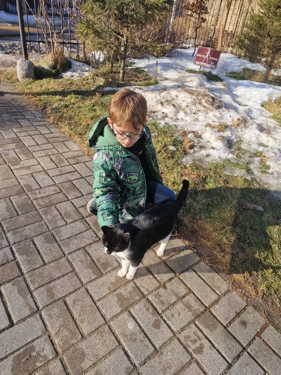 Фото автора: в самом кошачьем городе)