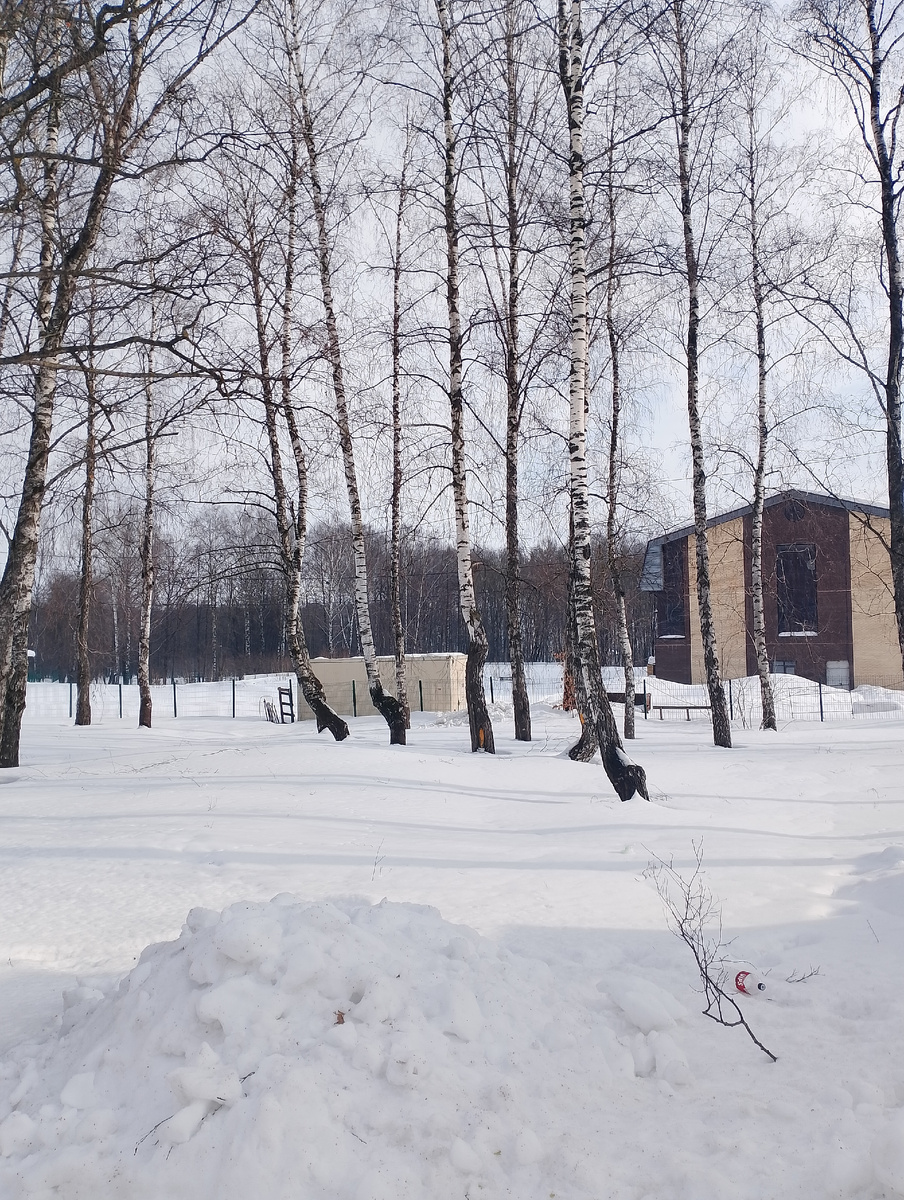 С Мариной мы гуляли в воскресенье по улицам , парку . Встретили молодую пару: парень и девушка . Они нам подарили письмо Небесного Отца и беседу о Боге . Конфеты ещё...Еле добрались до дома , после долгого сидения очень тяжело гулять 