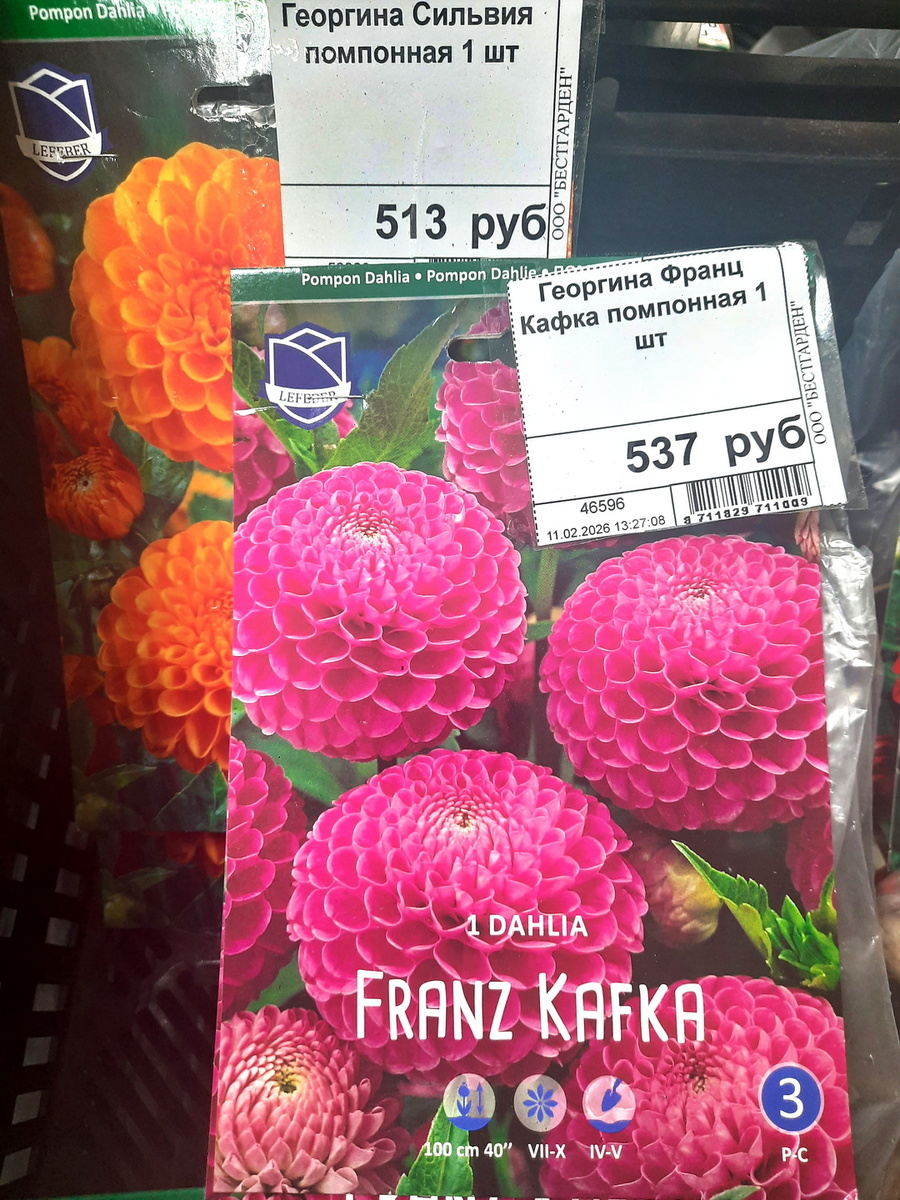 Все фотографии в статье мои