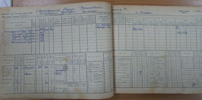 Страница с данными на хозяйство Волковинской Федоры Родионовны, с.Волковка, колхоз Волковский партизан..