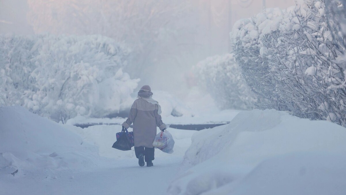    Фото: Андрей Ткачев/«Ямал-Медиа»