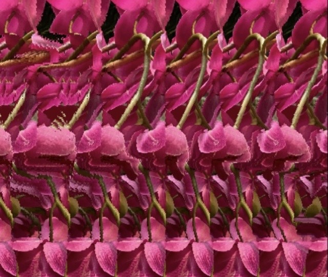 Почему стоит подружиться со стереограммами? Польза для глаз и мозга