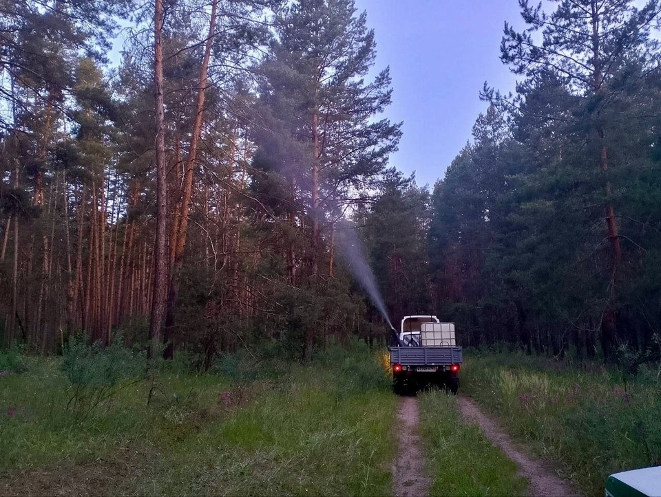    Мониторинг лесов в регионе продолжается. Фото: минприроды Самарской области