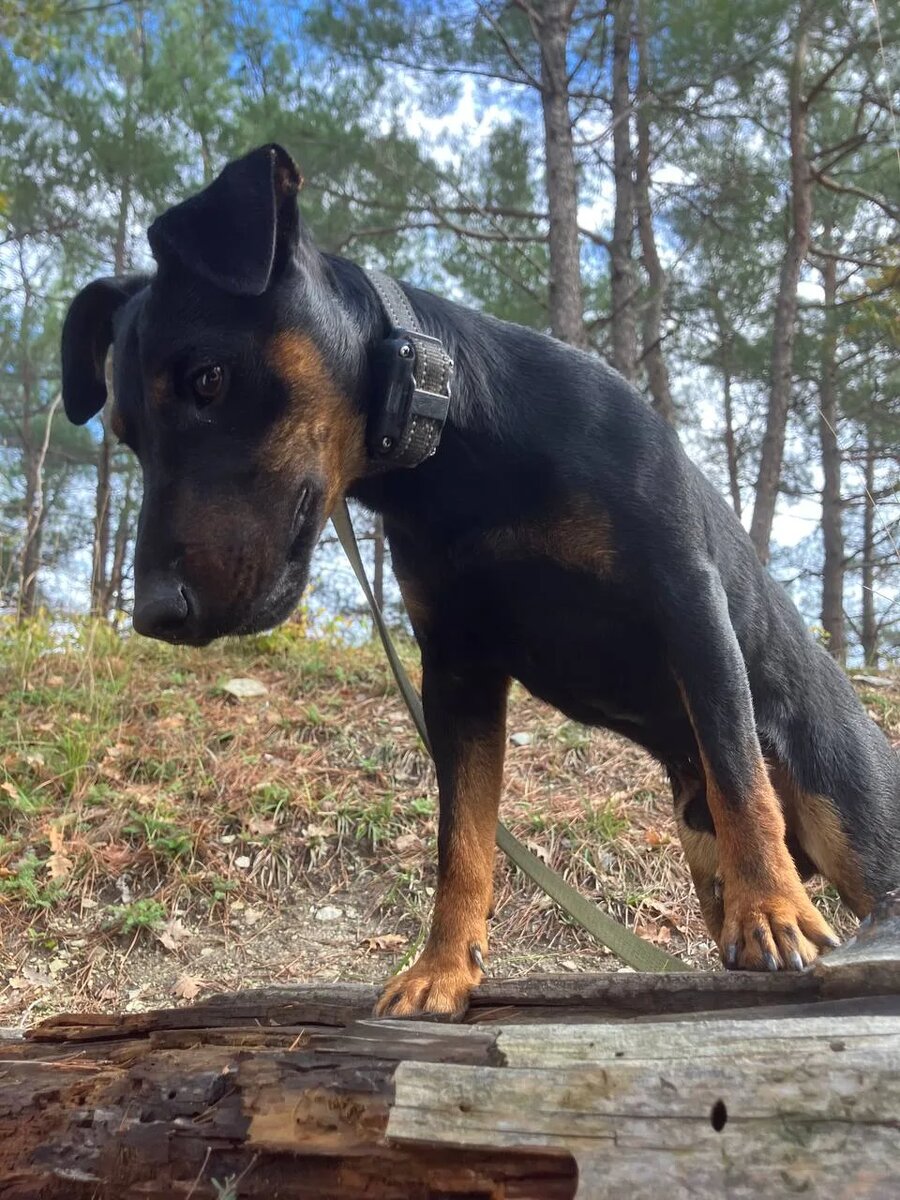 Кто здесь? Я защищен!