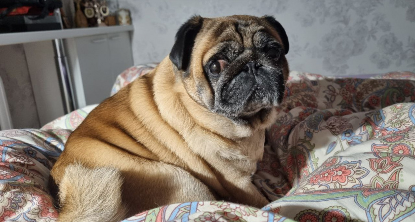    Фото Анастасии Дмитриевой