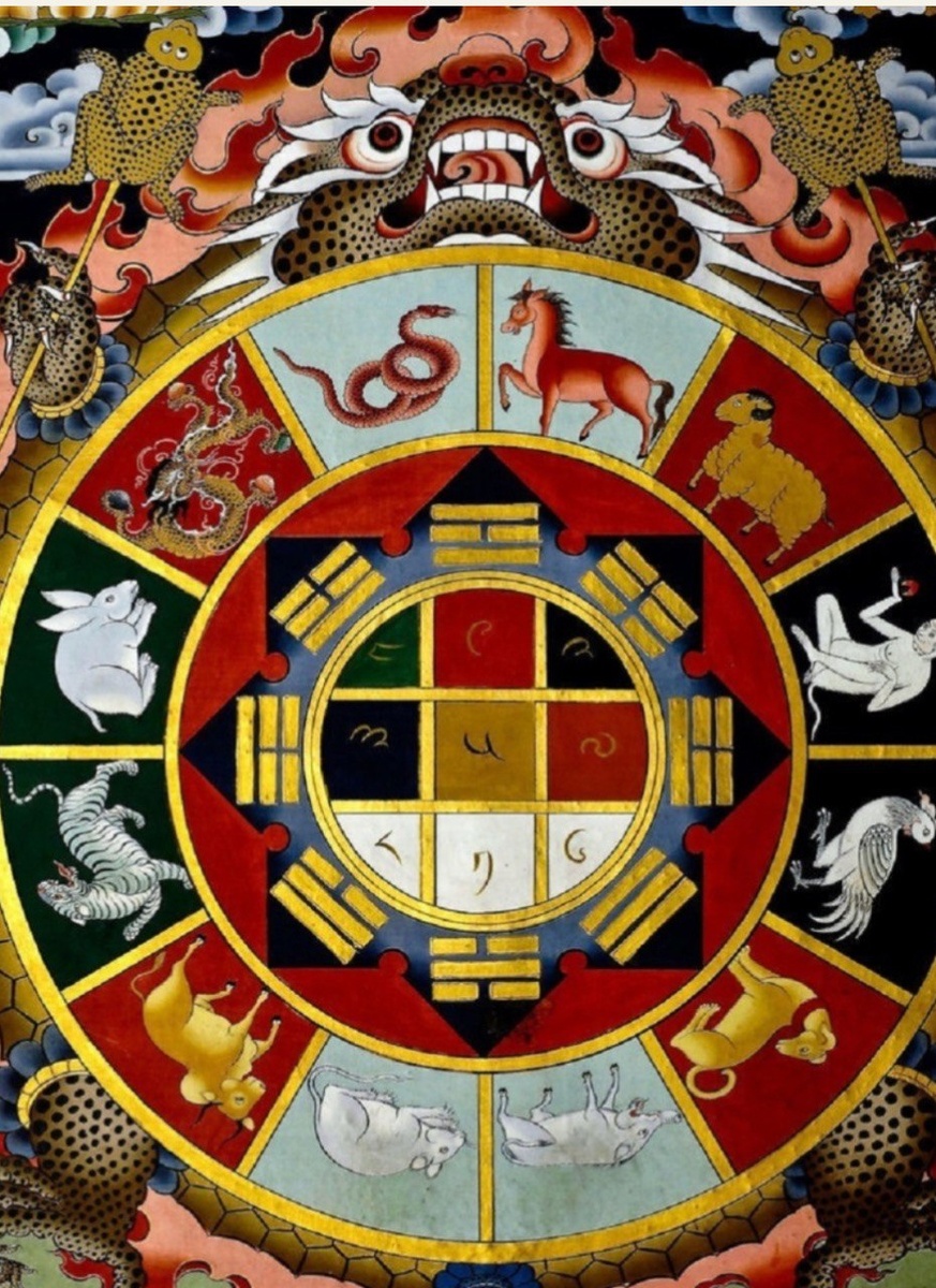 Фото из интернета 