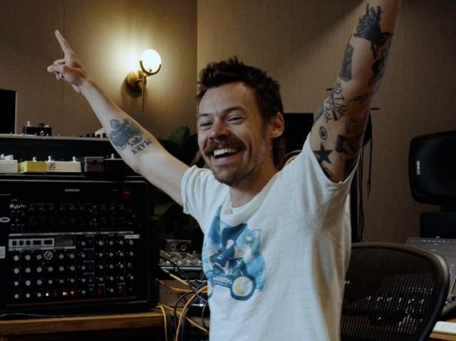    Гарри Стайлс. Фото: @stella.blackmon (Instagram*)