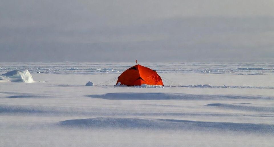    «Подмосковье сегодня»/Сгенерировано нейросетью