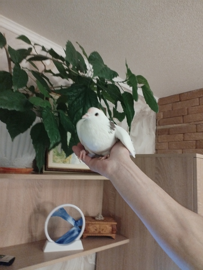 Листайте вправо, чтобы увидеть больше изображений